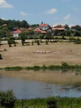 Journey to Gnjilane